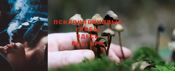 MDMA Premium VHQ Покров